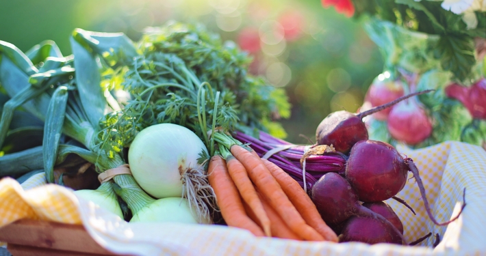 Basket of beets, carrots and onions