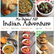 AIP Indian Adventure