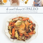 He Won't Know It's Paleo Cookbook for AIPers