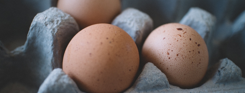 Brown Eggs, AIP Eggs, Vegan Eggs, AIP Baking