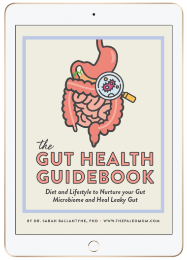 The Gut Health Guidebook aiprecipecollection.com
