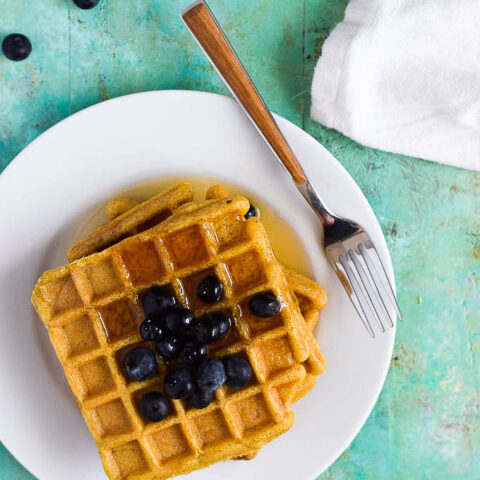 AIPRECIPES.COM AIP Recipes / Sweet Plantain Waffles